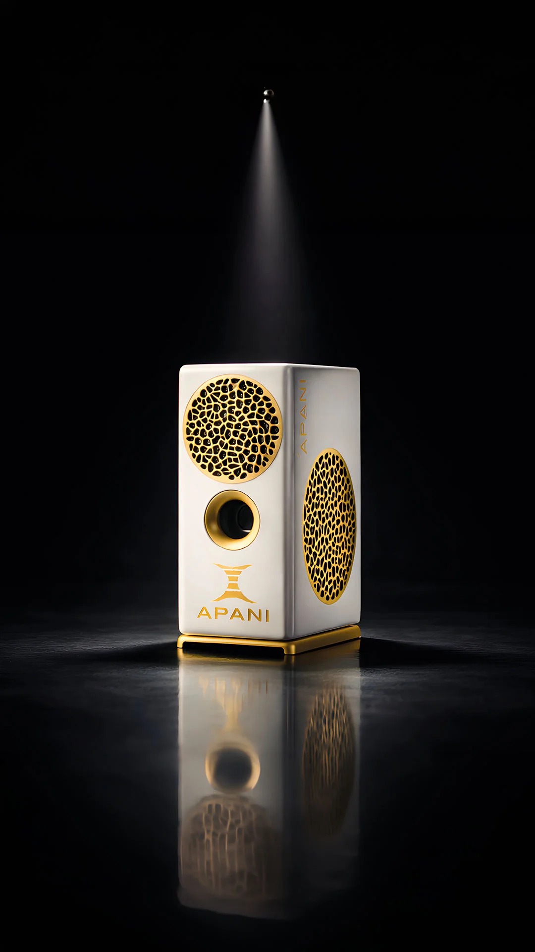 APANI Auris V System Music Transformer — 1