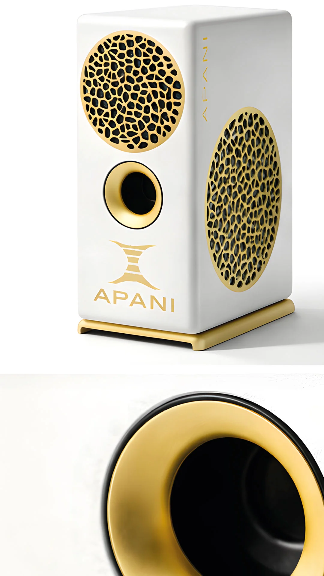 APANI Auris V System Music Transformer — 2