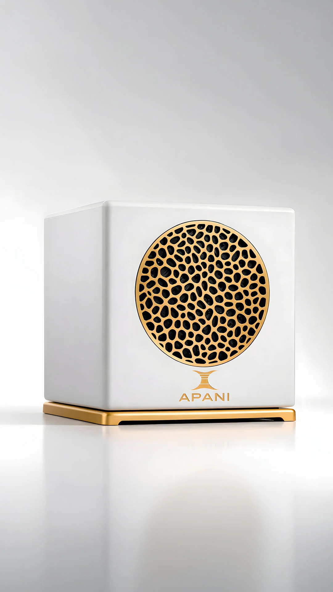 APANI Auris V System Music Transformer — 3