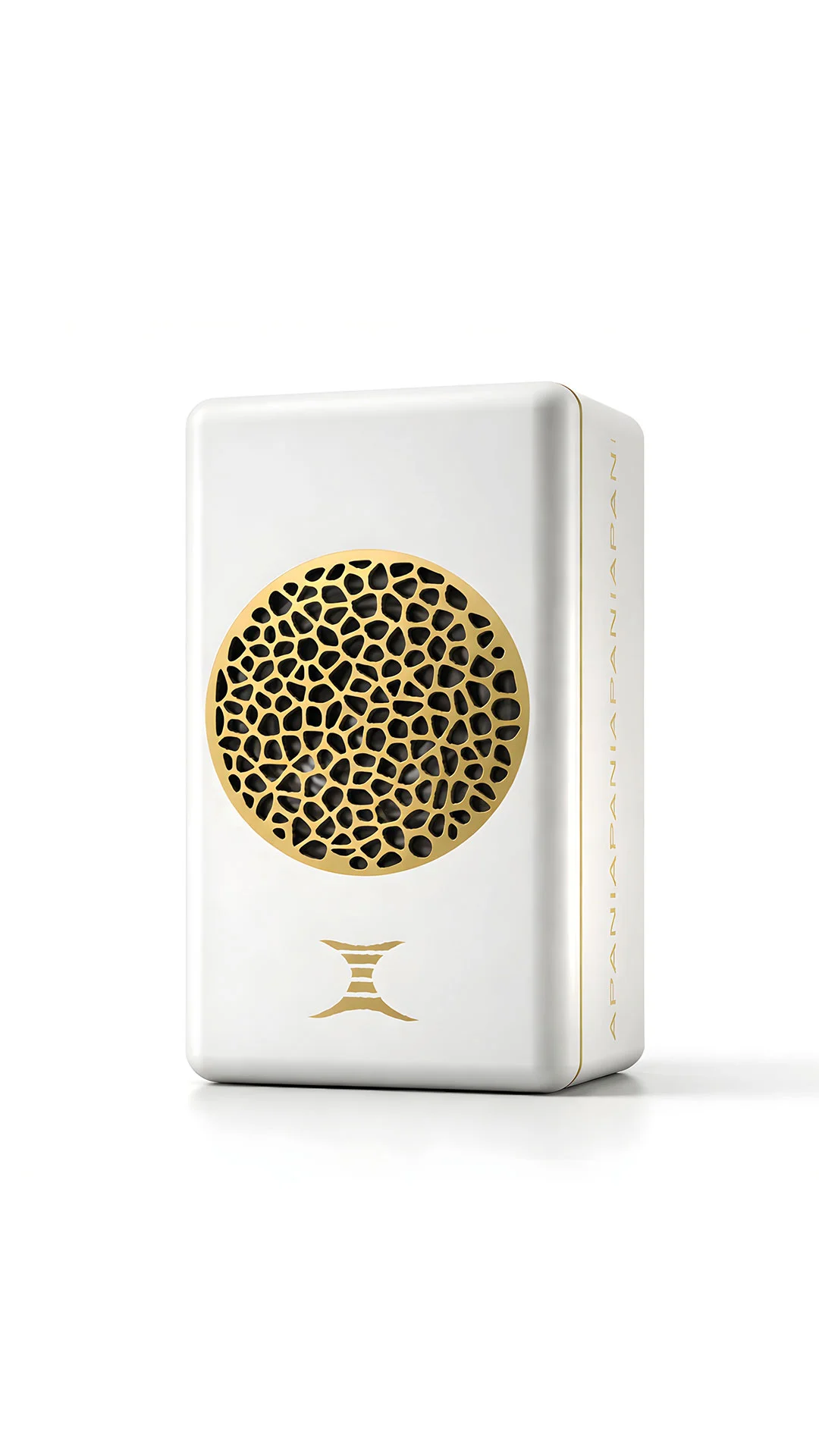APANI Auris V System Music Transformer — 1